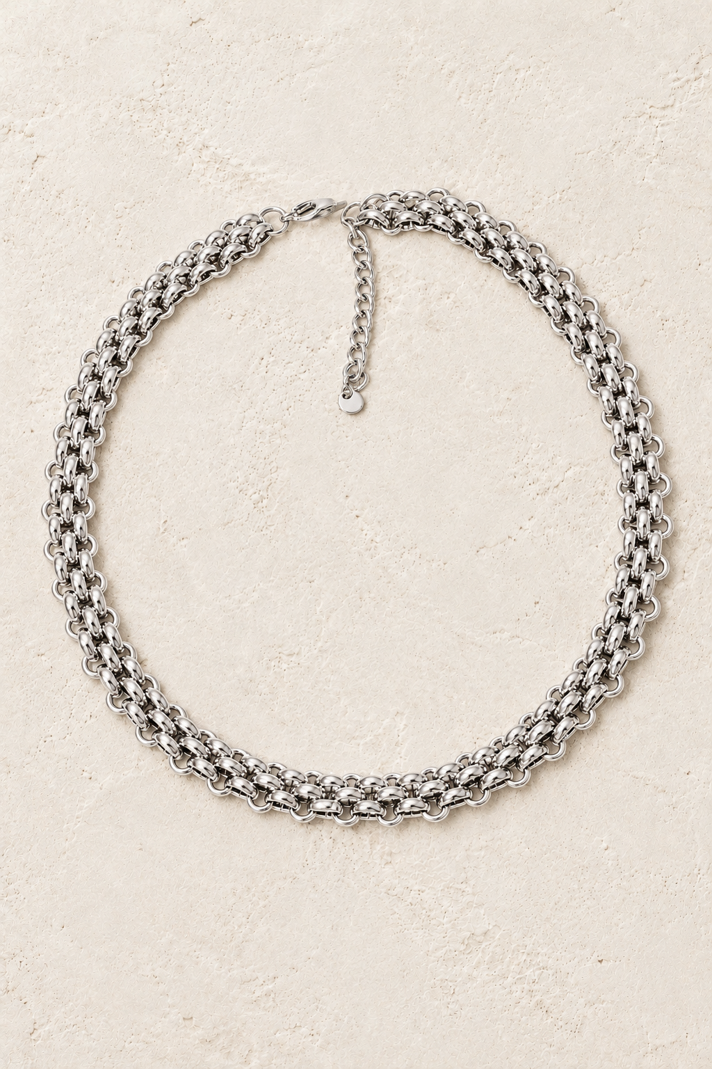 Sienna Silver Statement Chain Necklace on Francesca's approved original hero background